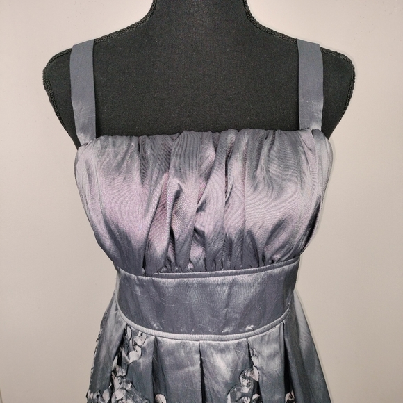 NWT R & M Richards Iridescent Silver Embroidered Fit & Flare Midi Dress Sz. 6 - Picture 4 of 14